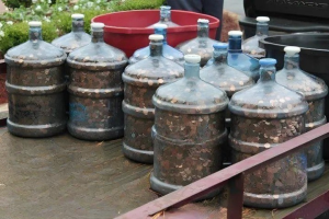 A Lifetime of Saving Spare Change: How One Man Transformed Coins Into a Lasting Lesson