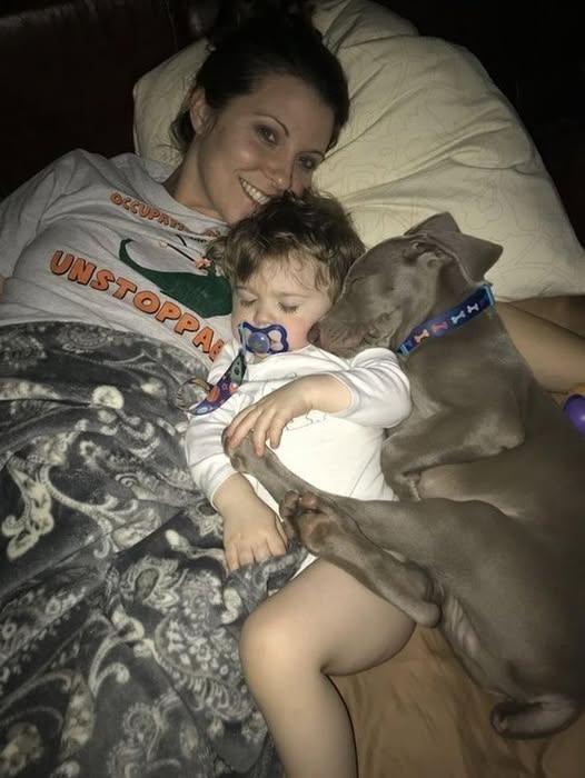 When a Dog Becomes Family: How Our Rescue Pup Found Her Place Beside Our Toddler